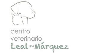 CV Leal Márquez